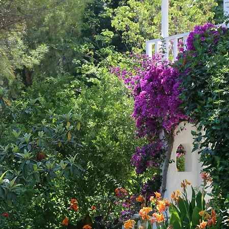 Hotel Golden Key Hisaronu Marmaris